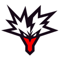 Team Yandex Logo