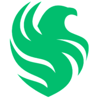 Team Falcons Logo