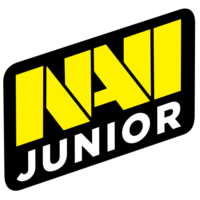 Natus Vincere Junior Logo