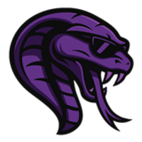 Team Cobra Logo